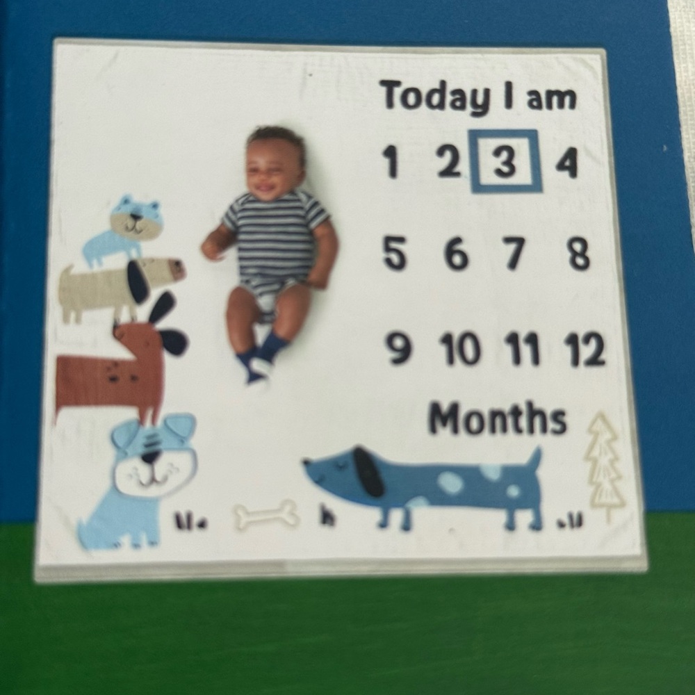 Gerber Monthly Milestone Blanket and Frame Set
